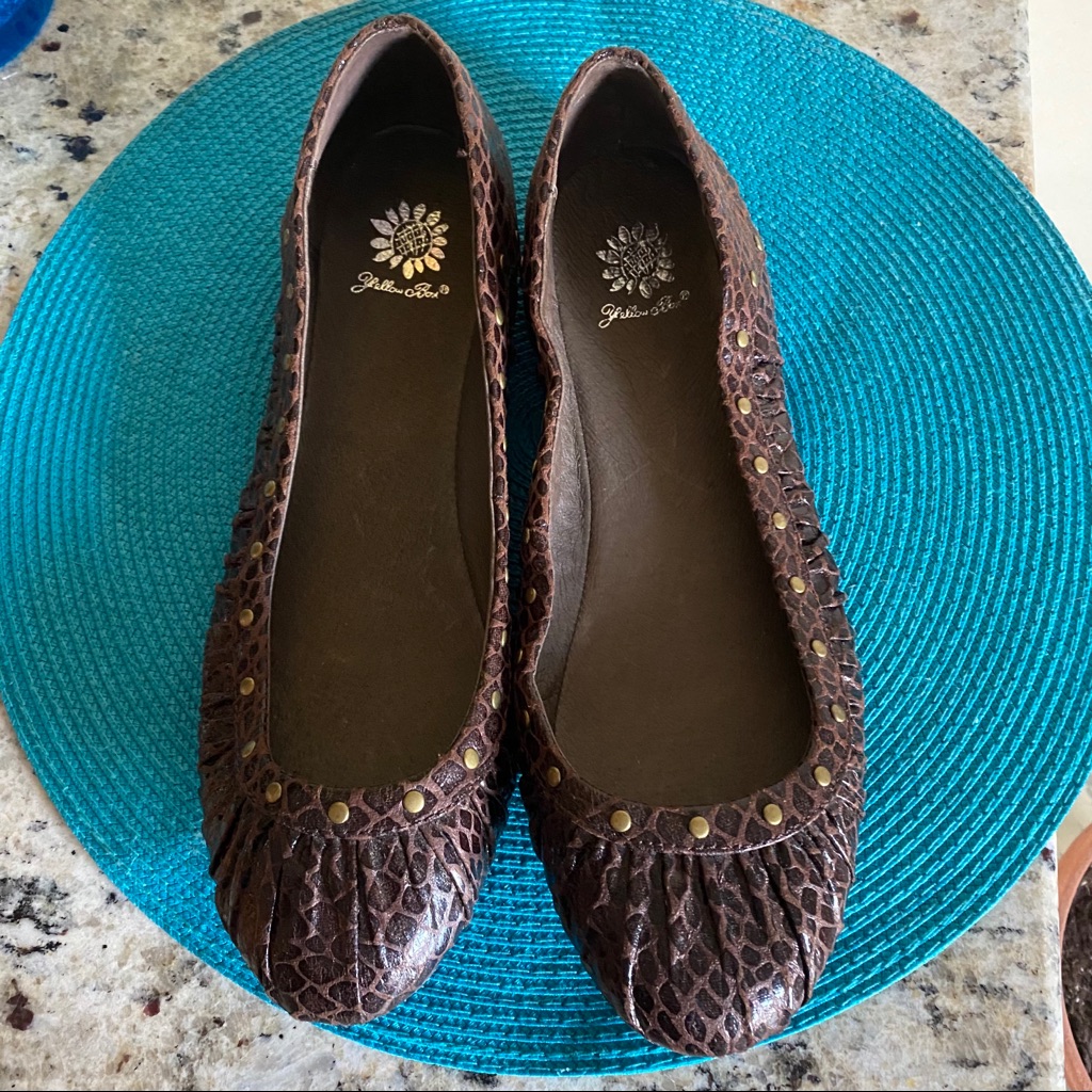 Yellow Box Brown Flats